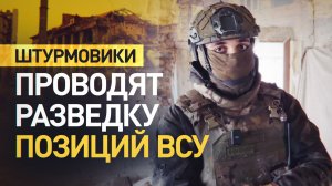 Под прикрытием осенних туманов: как штурмовики ВС РФ проводят разведку позиций ВСУ и минных полей