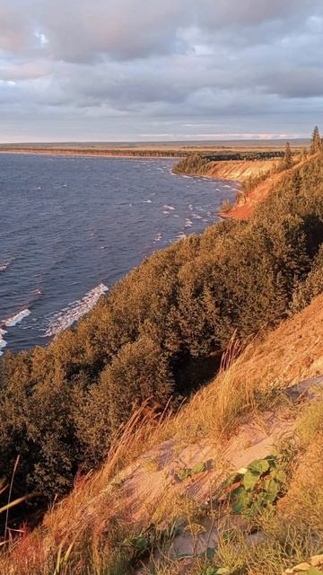 Осень стихи Ольги Синар смотреть онлайн