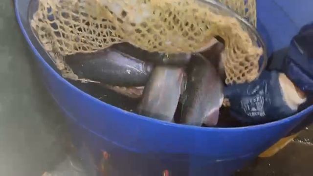 1000052726.mp4 смотреть онлайн