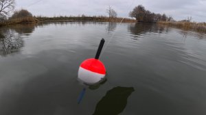 Ловля щуки на маховую удочку с поплавком. Рыбалка на живца в ноябре.