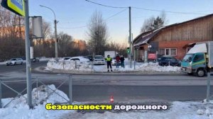 В Новосибирске пассажирский автобус сбил девочку