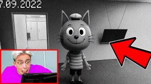 КОРЖИК ИЗ ТРИ КОТА ПРИШЁЛ КО МНЕ ДОМОЙ! Я СНЯЛ ЭТО НА СКРЫТЫЕ КАМЕРЫ