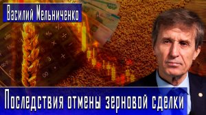 Последствия отмены зерновой сделки #ВасилийМельниченко #ДмитрийДанилов