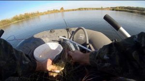 Соревнования по хищнику 2025