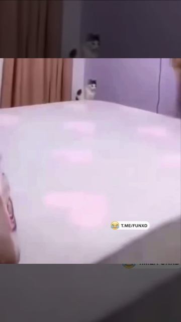 Давай, давай, расстилай... смотреть онлайн