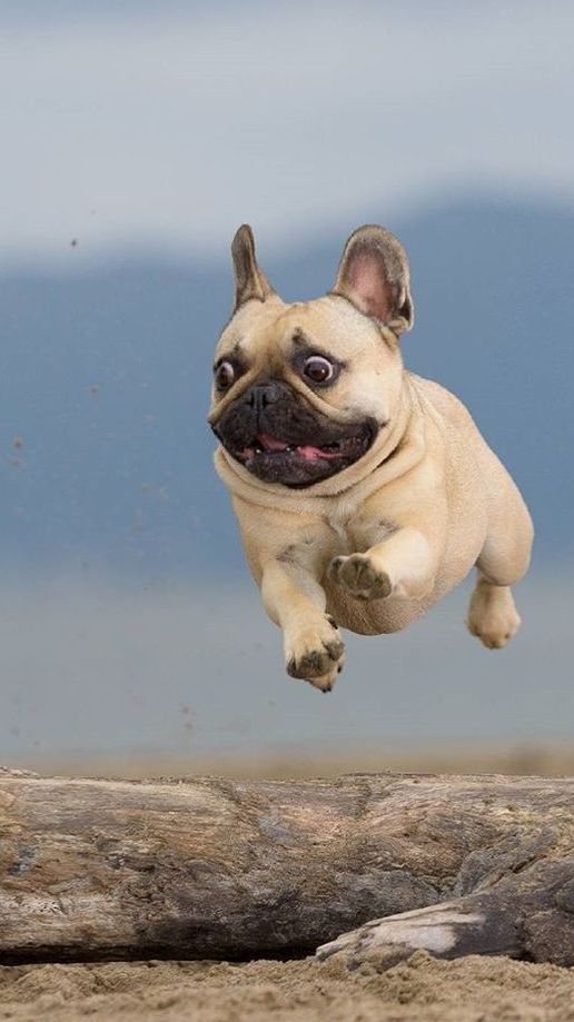 Бульки. смотреть онлайн