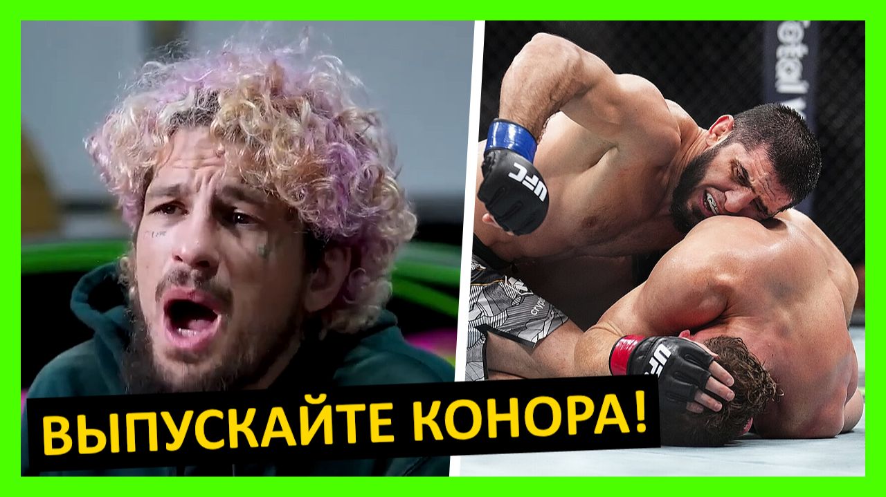 Махачев - Маддалена реакция на бой от Мухаммада, О’Мэлли, Уиттакера, Мендеса… 1 часть