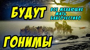 Да и все желающие жить благочестиво будут гонимы - Василий Савич. Христианские проповеди