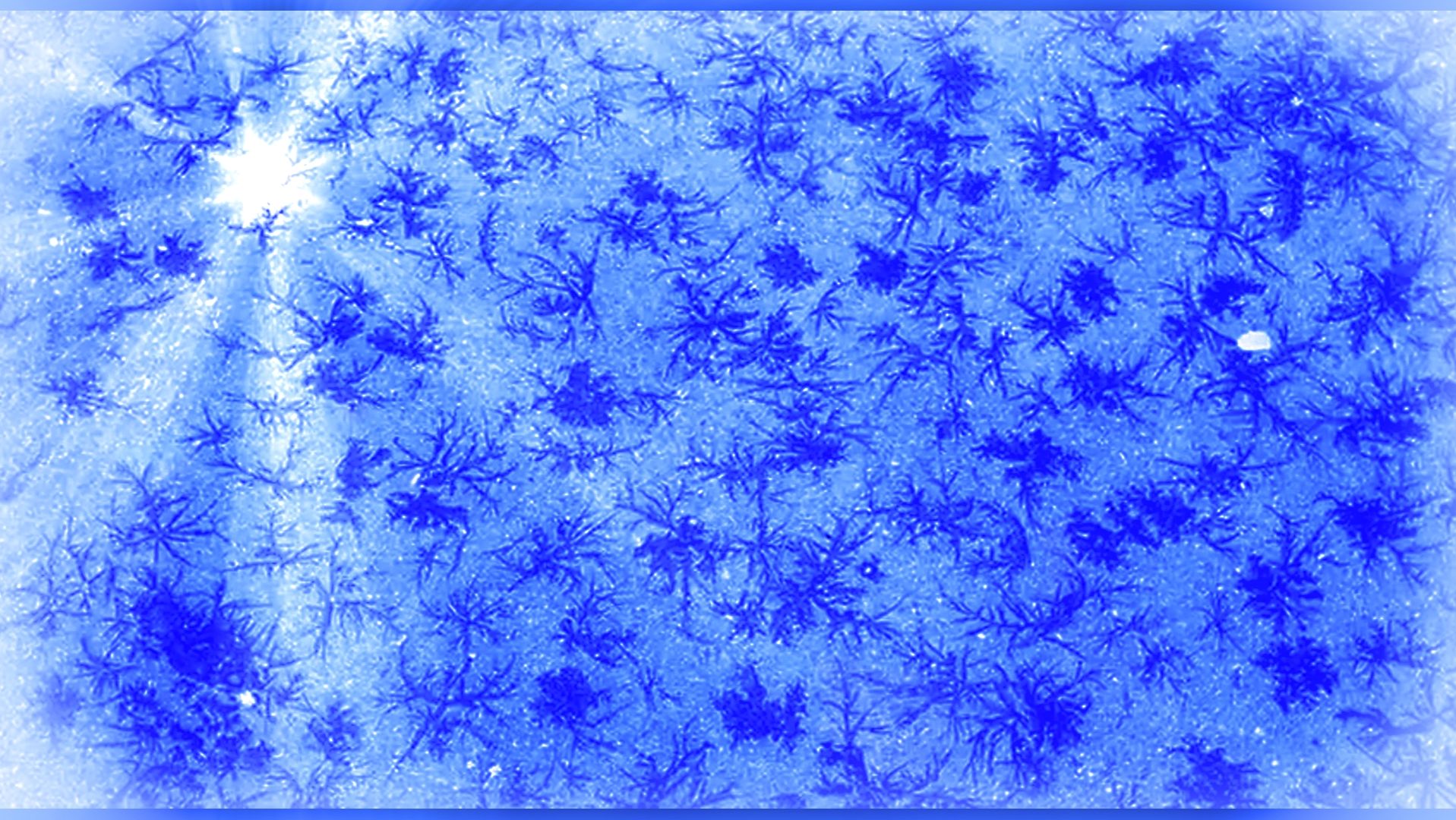 ФАНТАЗИИ МОРОЗА НА АСФАЛЬТЕ. МОСКВА. 16 НОЯБРЯ 2025 ГОДА. смотреть онлайн