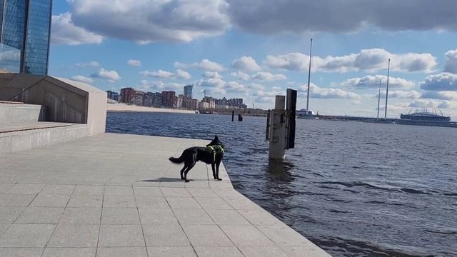 Лахта центр