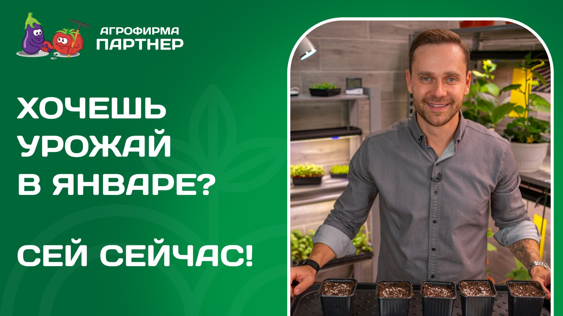 🪴 МАСТЕР-КЛАСС ПО ВЫРАЩИВАНИЮ ЗИМНЕГО ОГОРОДА! СПРАВИТСЯ ДАЖЕ РЕБЕНОК! смотреть онлайн