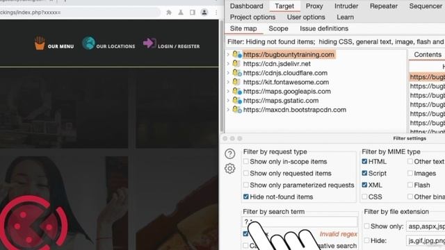 11. Discovering Hidden Endpoints Using Regex смотреть онлайн