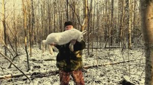 Охота с Русским пегим.