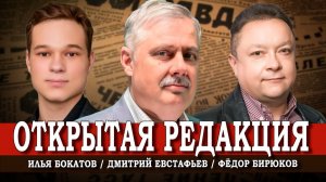 Хватит ныть, или Как изменить мир к лучшему | Дмитрий Евстафьев | Илья Бокатов | Фёдор Бирюков