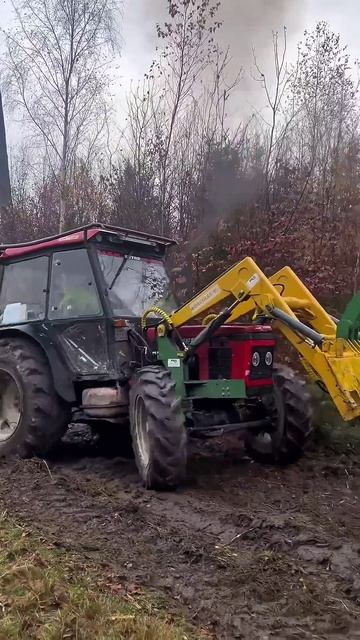 Сила трактора Zetor - Экстремальное вытягивание деревьев в лесу смотреть онлайн