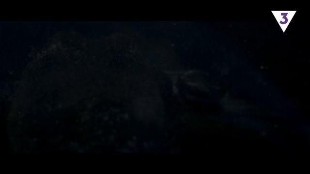 аватар персоны