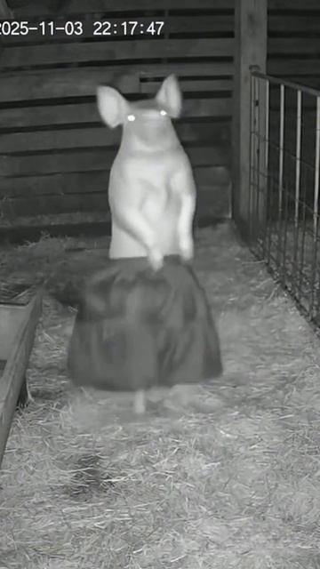 Что вы слышите? смотреть онлайн