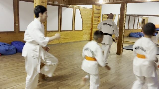 Семинар Эншин Каратэ в Уфе смотреть онлайн