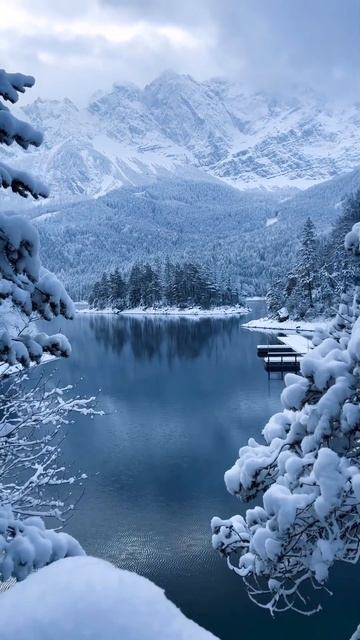 Fredo de Gaultier - Passion and Pain, Pt.4 #German #snow #mountains #panksepp #thorstenquaeschning смотреть онлайн