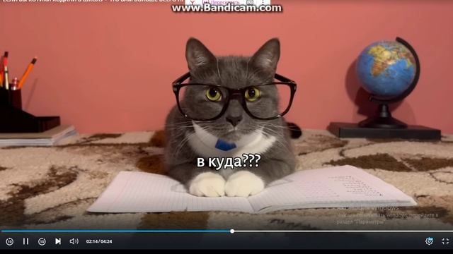 смторим Kotiynet