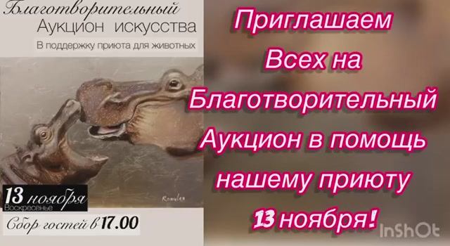 Приглашаем всех на благотворительный аукцион в помощь нашему приюту 13 ноября!