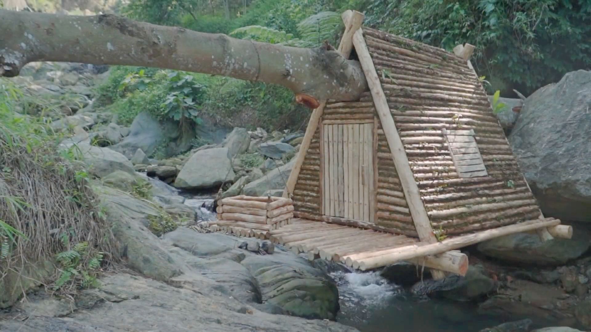 Строю бревенчатый дом на упавшем дереве в лесу у реки. Жизнь в лесу. Бушкрафт