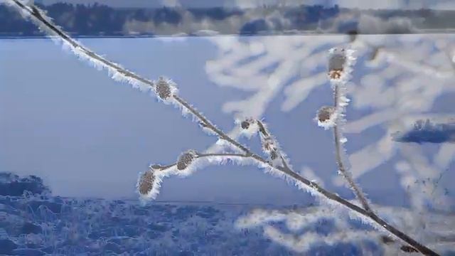 Белоярский ХМАО смотреть онлайн