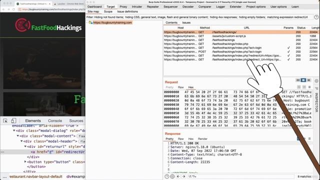 13. Discovering Bugs in Hidden Elements смотреть онлайн