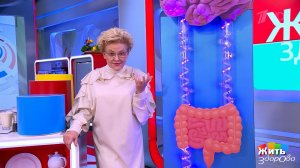 Тан и настроение: микробы, которые лечат душу. Жить здорово! Фрагмент выпуска от 17.11.2025