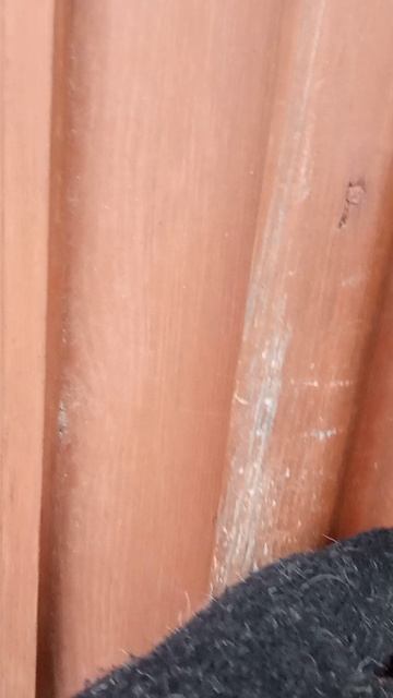 Прокуратура Гороховецкого района-абонент недоступен смотреть онлайн