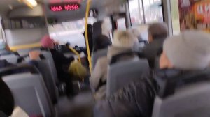 Поездка на автобусе ПАЗ-320415-14 "Vector Next" № М 408 МВ 13, маршрут 20