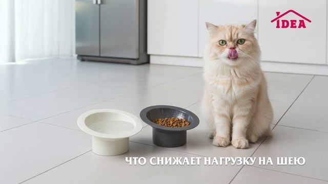 Миска для животных СФЕРА IDEA смотреть онлайн