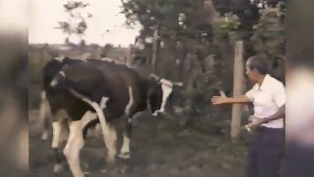 Я ВОооЩЕ НА ВЕРЕВКА ВИСЮ НИКАГО НИТРОГАЮ смотреть онлайн