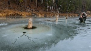 ПЕРВЫЙ ЛЁД ТАЕТ !!!!. Ловим рыбу на БЕЗМОТЫЛКИ !!!