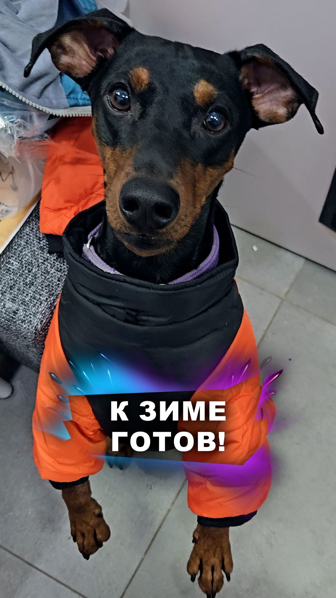 Похоже, ему нравится #животные смотреть онлайн
