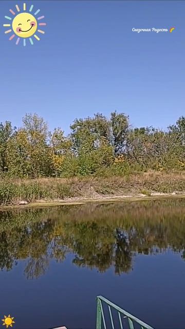 #обзор #речка #природа #осень2023гтд #латухино #красиво #событиедня #4сентября2023год #хорошийдень # смотреть онлайн