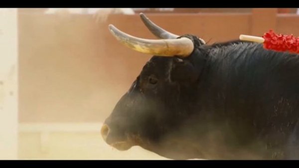 Ария - Тореро