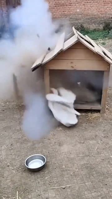 Гадëныш😅😂 смотреть онлайн