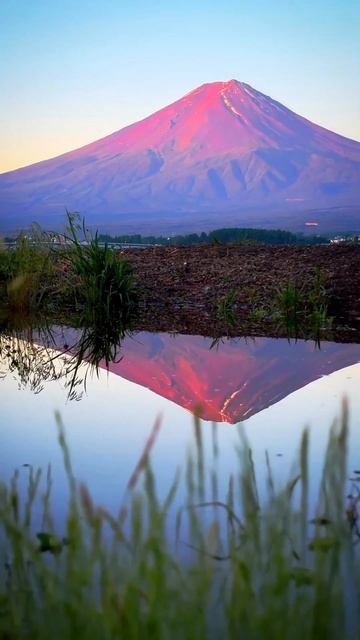 Fredo de Gaultier - Passion and Pain, Pt.5 #Japan #mountains #water #mountfuji #yakusa #yamasaki смотреть онлайн