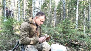 СБОР БЕЛЫХ ГРИБОВ В ТАЙГЕ/ГРИБЫ ХОТЬ КОСОЙ КОСИ, РАСТУТ ПО ВСЮДУ/ОСЕННИЙ СБОР ГРИБА БЕЛОГО/ВОЛНУШКИ.