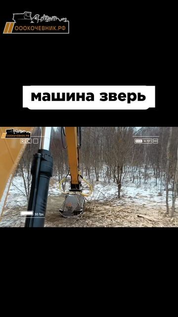 💪Гусеничный экскаватор с мульчерной насадкой в деле смотреть онлайн