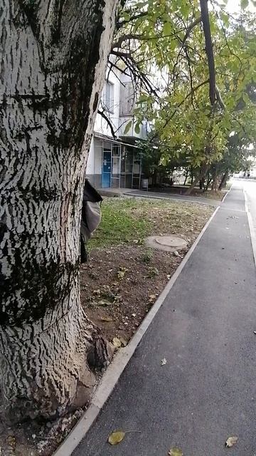 Валберис