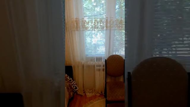 31379.mp4 смотреть онлайн