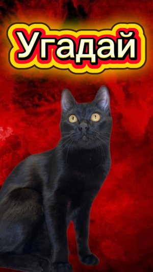 А ты смог догадаться?