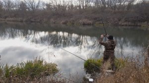 РЫБАЛКА В НОЯБРЕ НА ЩУКУ ОКУНЯ И ПЛОТВУ! Ловля рыбы на поплавок!