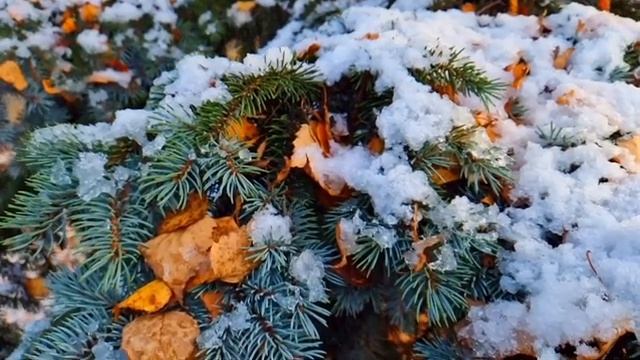 Вдовец обомлел,увидев в кафе официантку похожую на жену.Но главный сюрприз ждал его впереди... смотреть онлайн