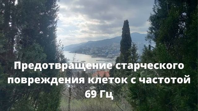 Предотвращение Старческого Повреждения Клеток*ЧАСТОТА РАЙФА 69 Гц смотреть онлайн