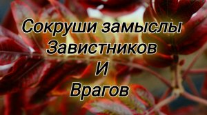 🔥 Сокруши замыслы своих врагов!!!