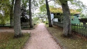 Выходной в деревне ! Куда пойдем ? ХУТОР В ЛЕСУ №853