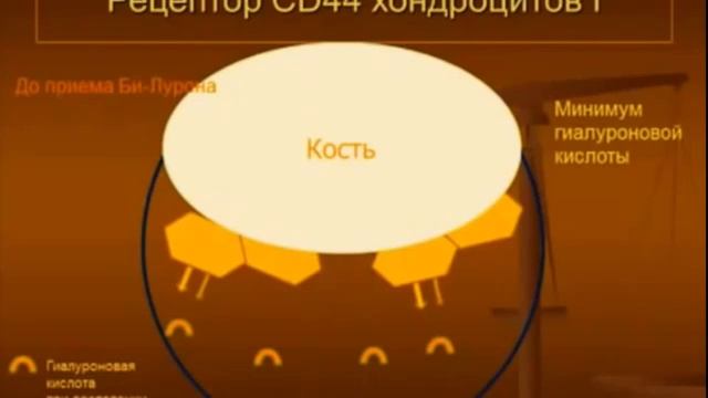Би-лурон от создателя. Как и почему действует смотреть онлайн
